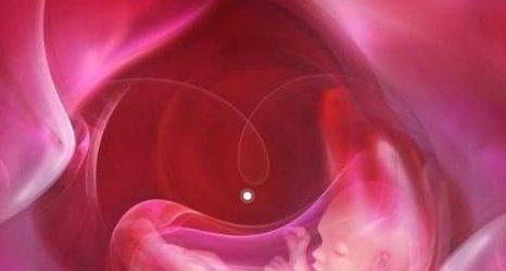 详细解读资阳市做长方案试管婴儿费用，长方案和短方案成功率有差别吗？