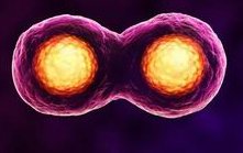 在禹城市做试管婴儿长方案周期需要多久？超长方案促排流程是怎么样的？