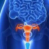 泰国试管能成功吗？成功率大揭秘