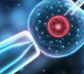 一半一代一半二代行不行？先分清适用情况再判断