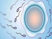 什么是死精症？死精症的病因？死精症如何治疗？死精症患者做试管婴儿成功率是多少？