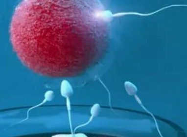 吉林长春能做第三代试管婴儿吗？数量不多，仅有一家