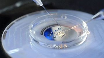 杭州地区有哪些私立的机构可以做试管技术？试管降调都是什么时候开始的？